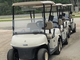 golf carts ezgo rxv passenger